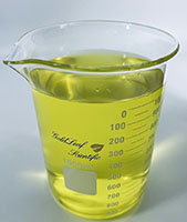 1000 Milliliter (mL) Capacity Low Form Profile Heavy Duty Glass Beaker