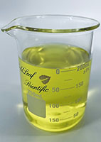 250 Milliliter (mL) Capacity Low Form Profile Heavy Duty Glass Beaker