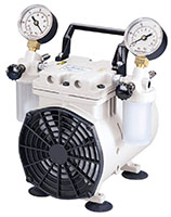 2534B-01 WOB-L Diaphragm Pump