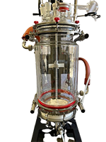 10 Liter (L) Capacity Single Jacket Filter Glass Reactor - 4