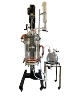 10 Liter (L) Capacity Single Jacket Filter Glass Reactor