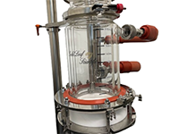 500 Milliliter (mL) Volume Double Jacketed Benchtop Filter Reactor