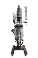 10 Liter (L) Capacity Double Jacketed Reactor with Electric Lifting Motor (1443)