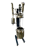 10 Liter (L) Volume Stainless Steel Reactor (2513)